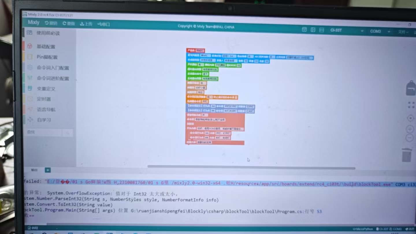 System.OverflowException错误